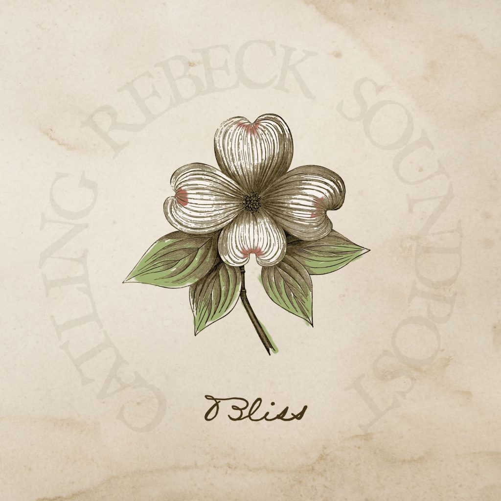 Album Cover Art